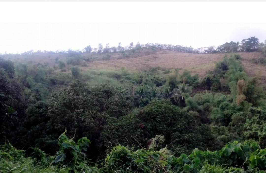 FOR SALE Agricultural Lot 23.6 Hectares, Barangay Daan Pare, Orion
