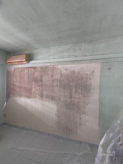 Mold removal cleaning/Mold treatment and sanitizing/fogging