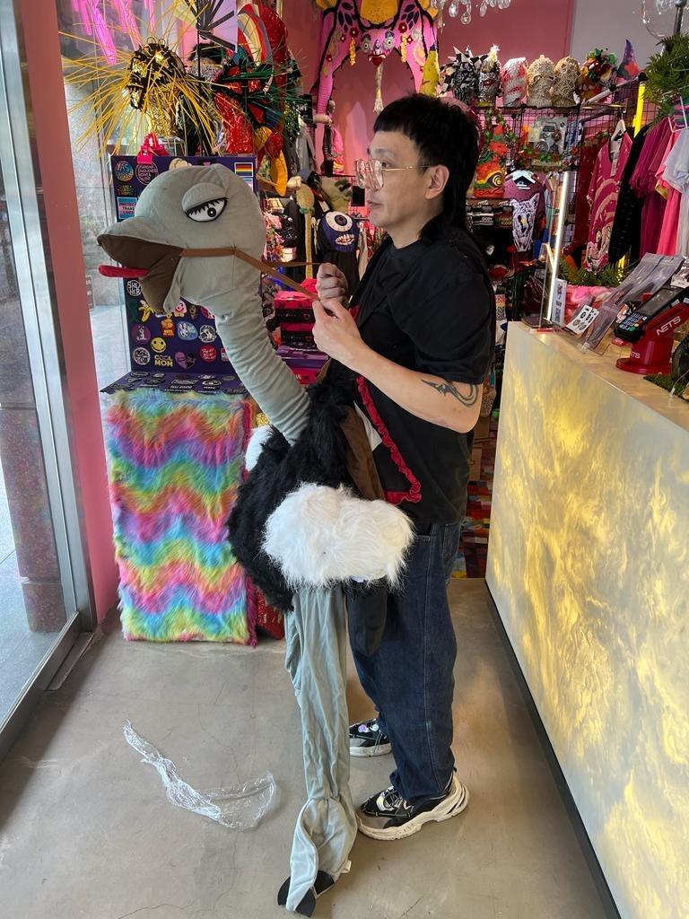 Ostrich Costume Adult Unisex Animal Wild West Fancy Dress Outfit, Everything Else on Carousell