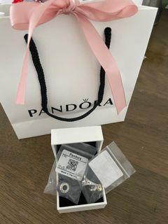 Pandora charms Paris charm murano charm
