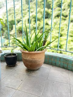 （分類：）位於 。 由 thomasc00 提交（商品編號 1193058251，圖片 1）。簡介： 。
