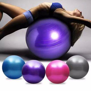 Sunny Health & Fitness Anti-Burst Gym Yoga Exercise Ball in 55 CM, 65 CM  and 75 CM