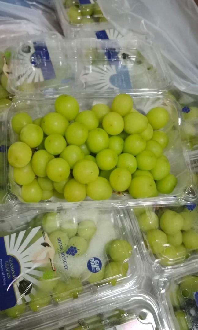 China Muscat Grapes 10 clamshells, Food & Drinks, Fresh Produce on