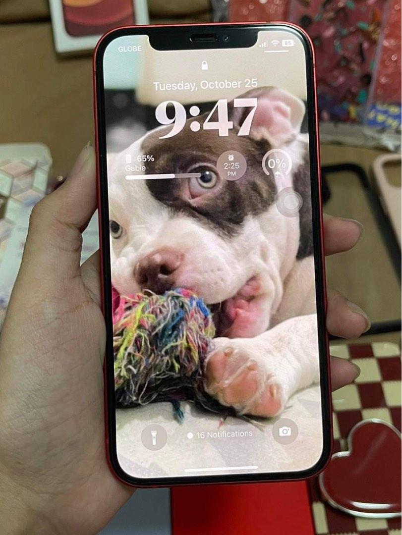 Iphone 12 (Category: iPhone 12 Series) located in San Mateo. Submitted by goodfinds.g (Listing ID 1193207063, Image 2). Description: For sale Iphone 12 Red 64gb Factory unlocked 86 battery health No issues, all are working Lady owned Inclusions: • cases •recently installed camera protector (wsken) and tempered (screen secure) •box and unit only, no cable included Meet up (around Rizal, Marikina, QC, and BGC) and cash payment only Rfs: will upgrad