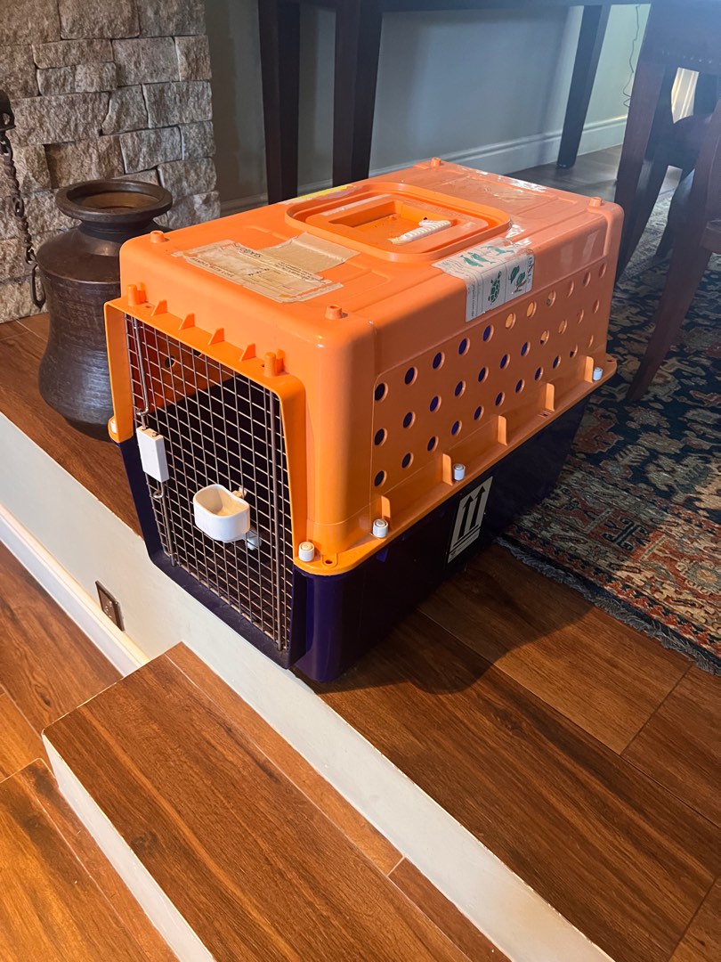 Large Dog Crate, Pet Supplies, Homes & Other Pet Accessories on Carousell