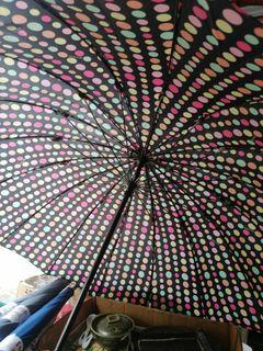 Long polka dots umbrella Japan 🇯🇵