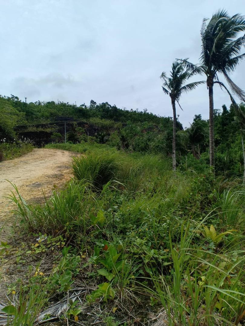 LOT FOR SALE (SIARGAO ISLAND AREA), Property, For Sale, Lot on Carousell