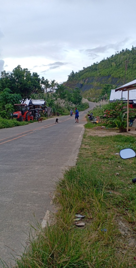 LOT FOR SALE (SIARGAO ISLAND AREA), Property, For Sale, Lot on Carousell