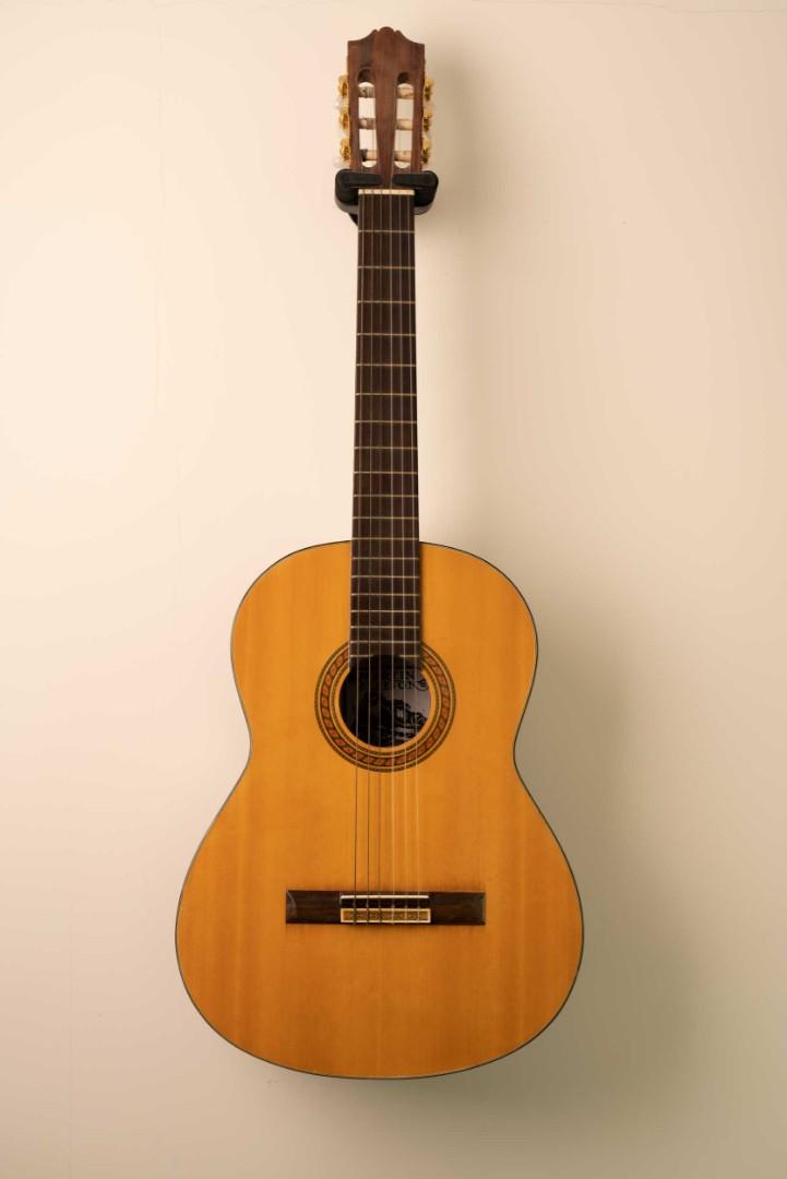 Martin fleeson shop guitar for sale