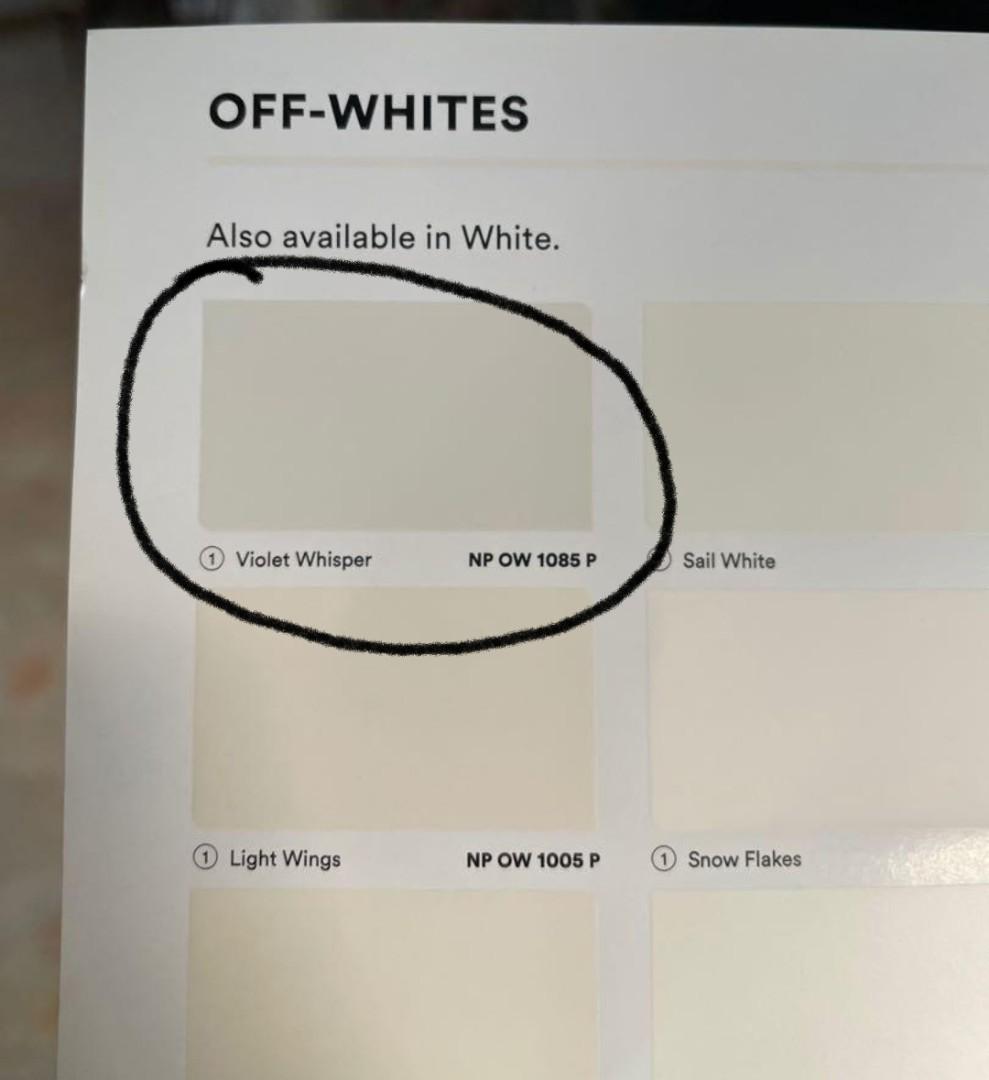 Nippon Paint Odourless Allin1 (Violet Whisper), Furniture & Home