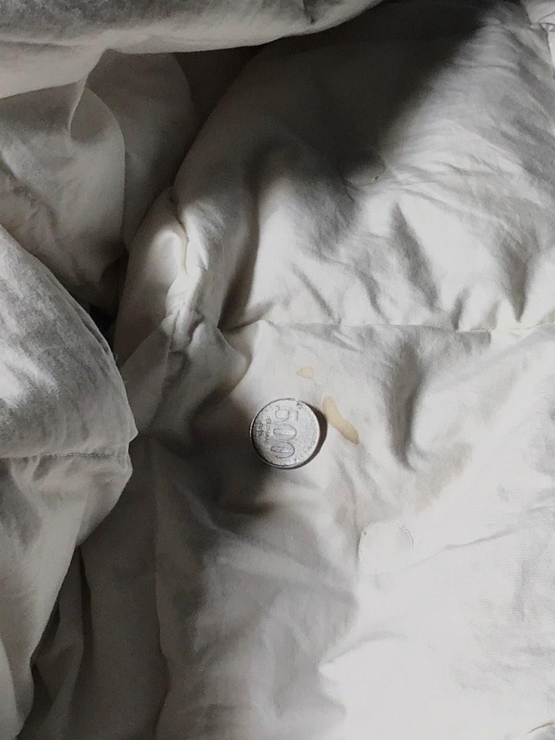 Quilt Duvet Ikea BLEKVIDE bulu angsa 240x220, Perabotan Rumah di Carousell