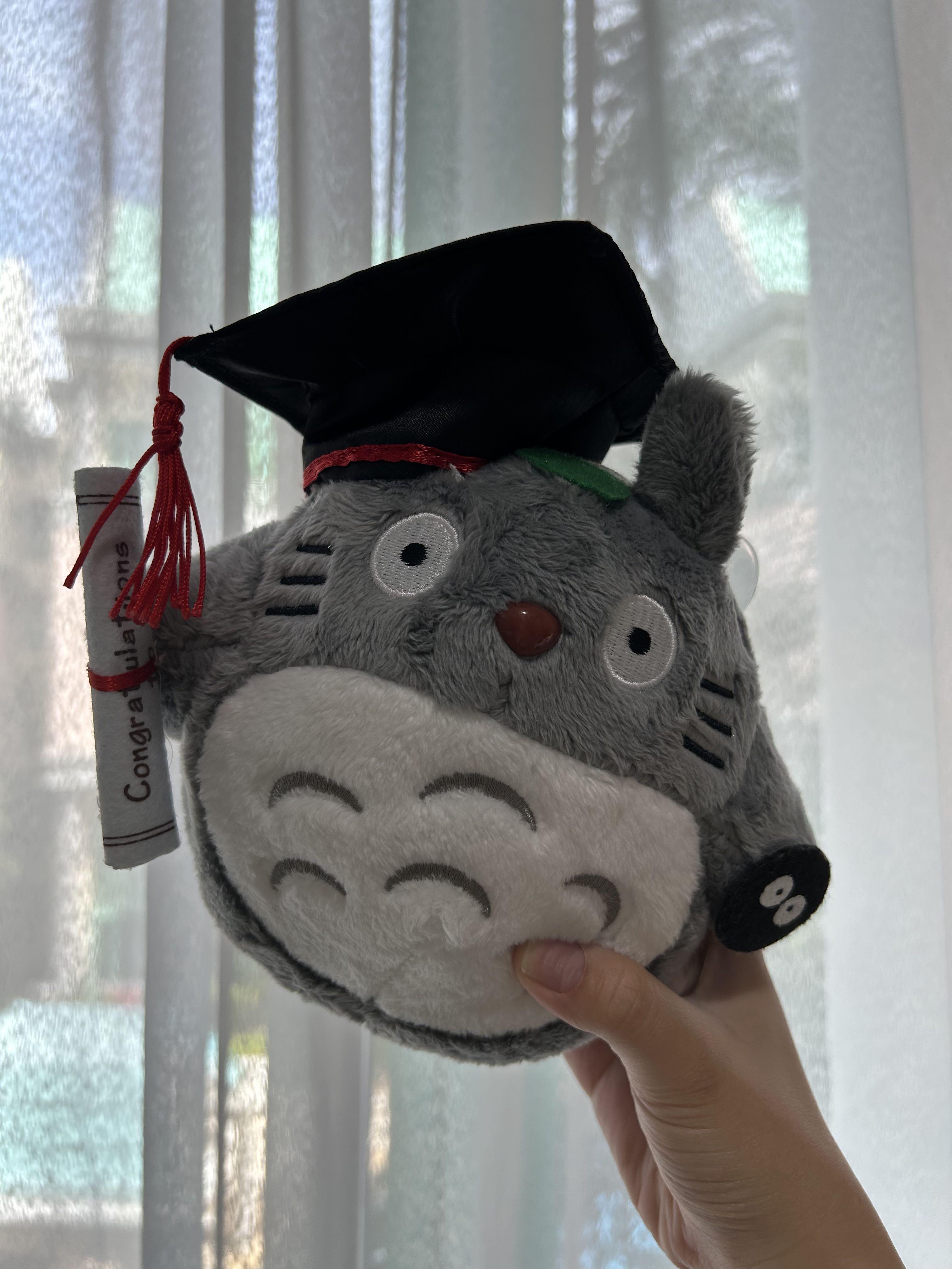 Totoro Graduation Bear gift