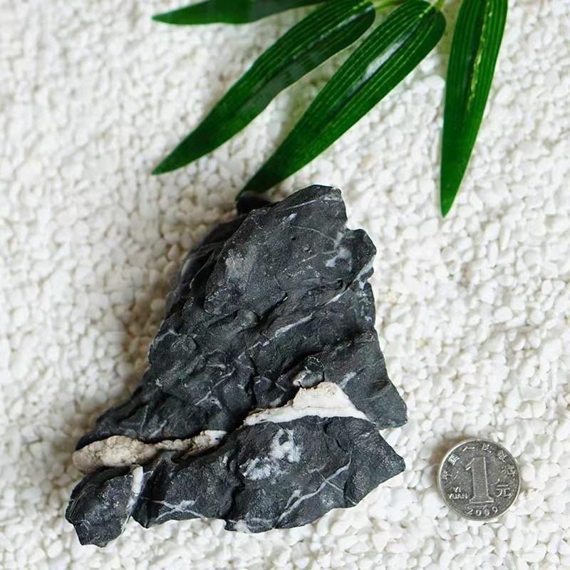 Aquascape Ryuoh Stones Seiryu stones Ryuoh rock: hardscape | aquarium ...
