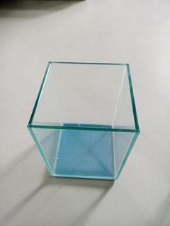 Betta fish tank