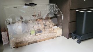 (Category: ) located in . Submitted by avg_consumer (Listing ID 1193305527, Image 1). Description: .