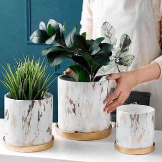 Gold and white cylinder ceramic planter with saucers