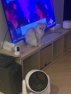 （分類：）位於 。 由 ytckn 提交（商品編號 1193307486，圖片 1）。簡介： 。