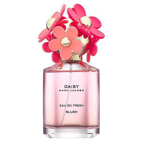 Daisy blush store perfume