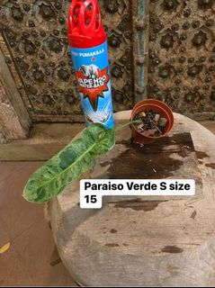 (Category: ) located in . Submitted by stalkstrading (Listing ID 1193278345, Image 1). Description: .