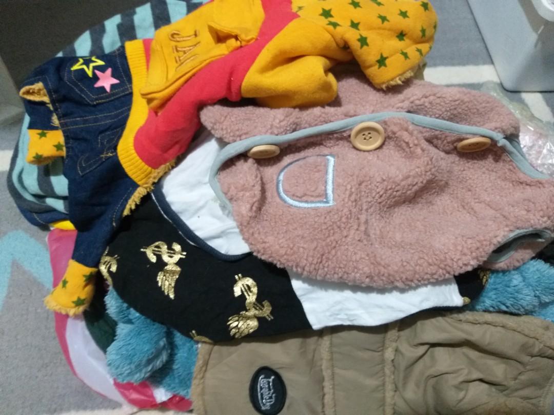 SURPLUS DOG OUTFIT SOON (BATCH 4), Pet Supplies, Homes & Other Pet