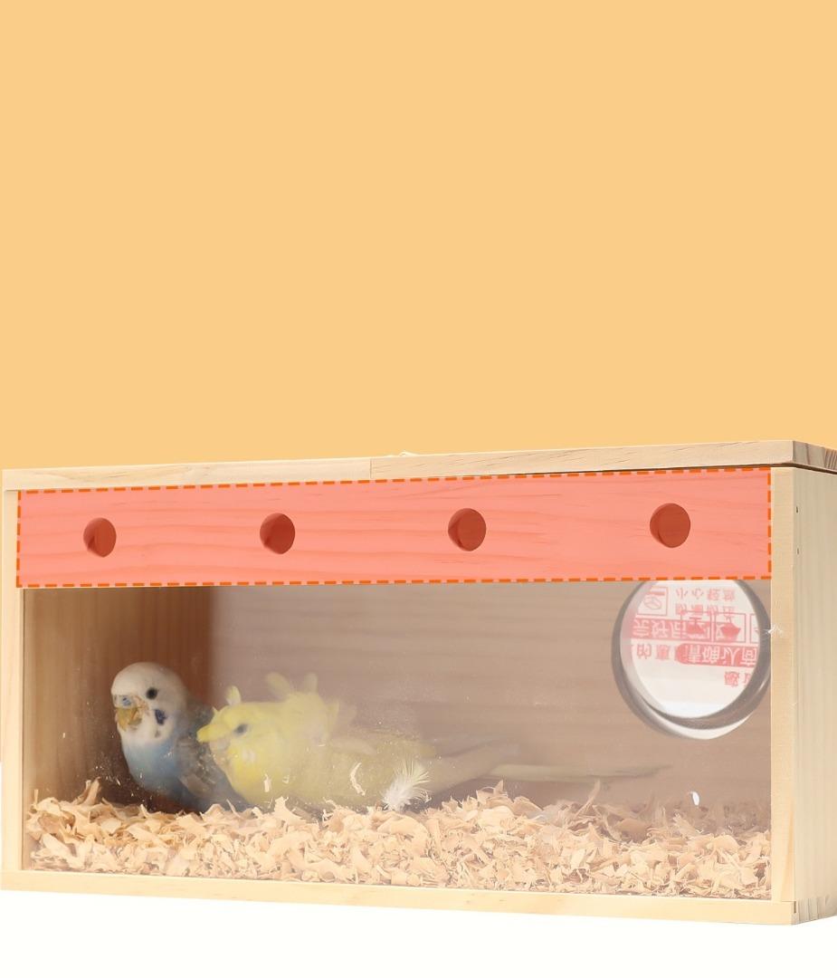 Transparent Parrot Breeding Box Hanging Bird's Nest Bird's House