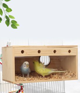 (Category: ) located in . Submitted by RaindropPetsAccessories (Listing ID 1193331952, Image 1). Description: .