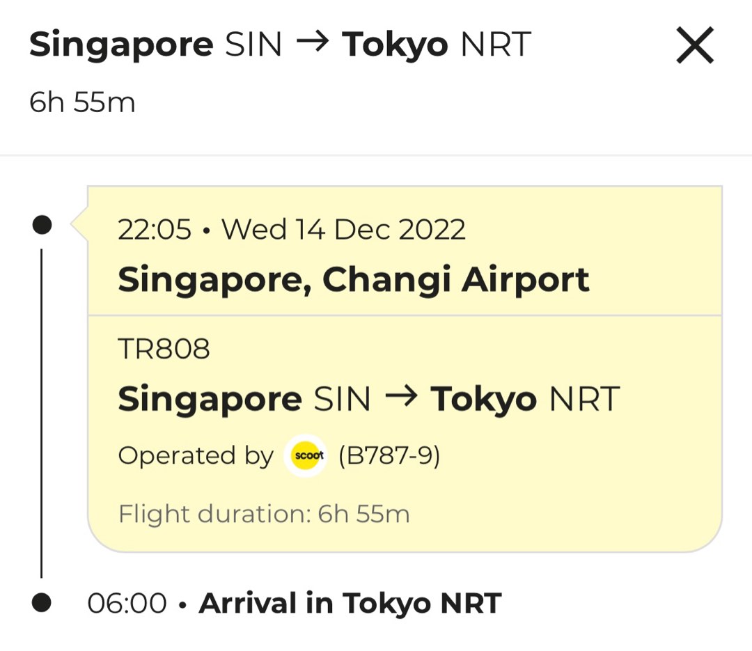 (DEC 2022) 2WAY SCOOT TICKETS from SG to Tokyo Narita (INCLUDES
