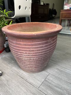 (Category: ) located in . Submitted by dwck2019 (Listing ID 1193460392, Image 1). Description: .