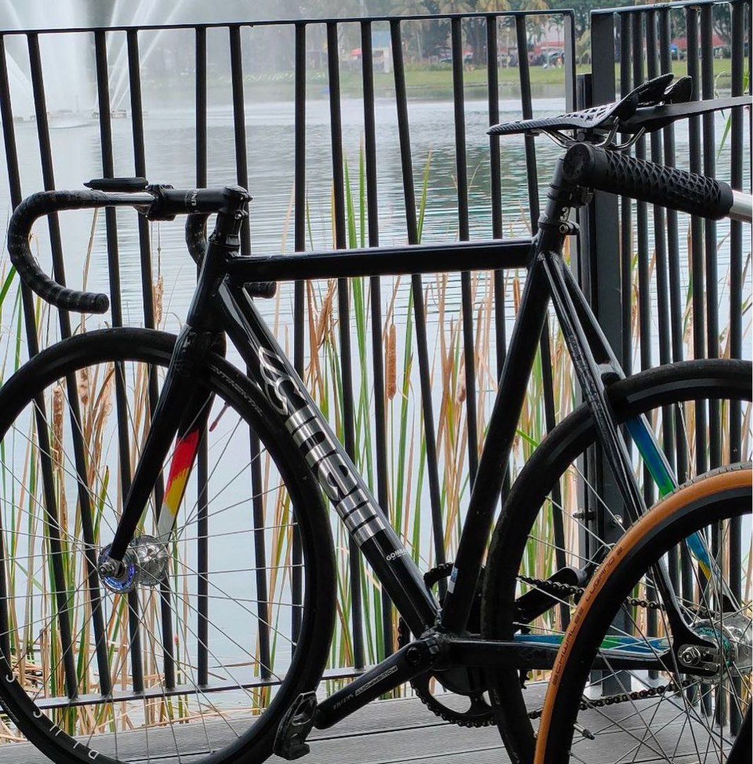Cinelli histogram 2025 2015
