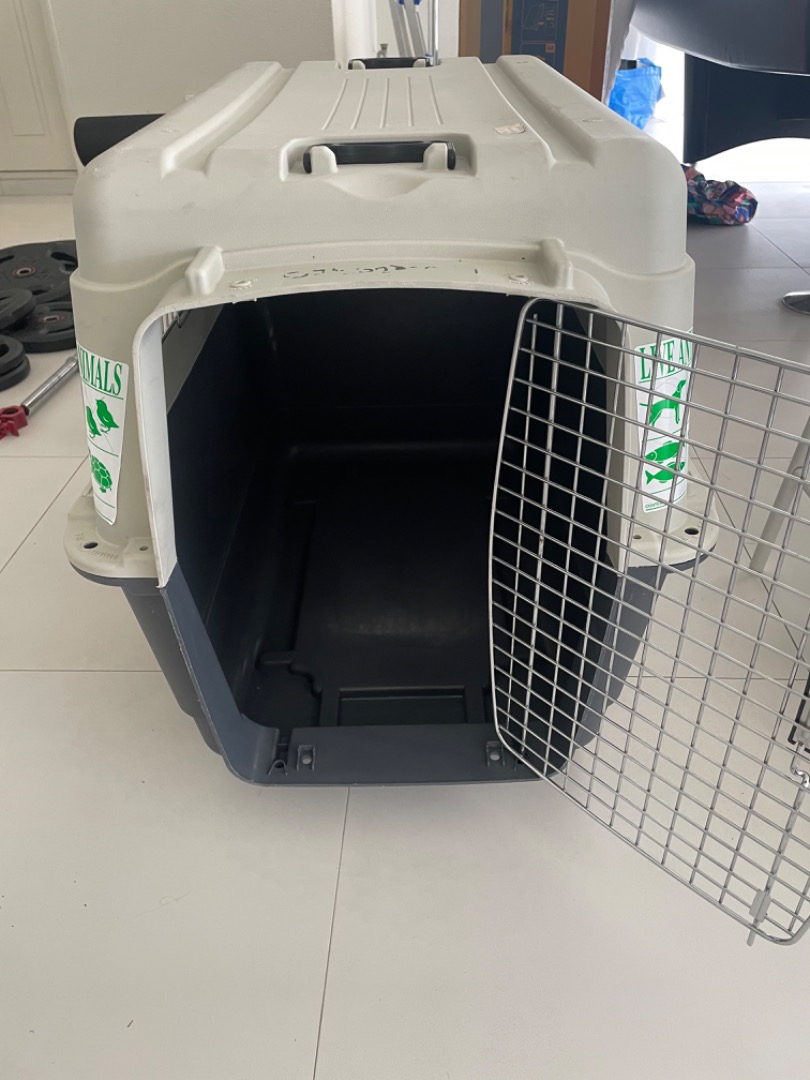Clean dog crate, Pet Supplies, Homes & Other Pet Accessories on Carousell