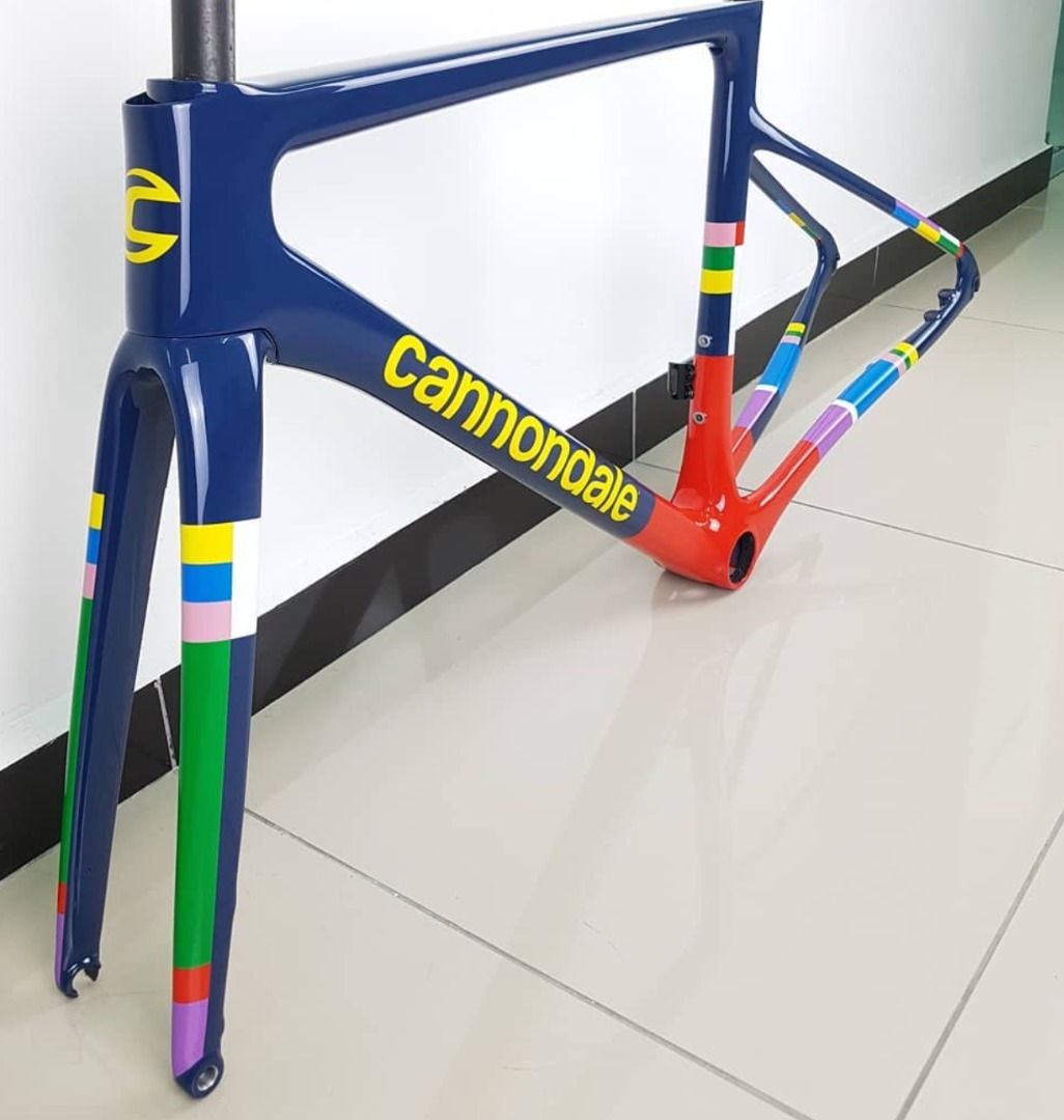 Custom airbrush roadbike moutainbike frame, Sports Equipment, Bicycles ...
