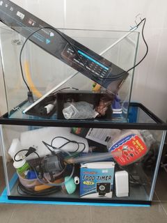 (Category: ) located in . Submitted by 73kim (Listing ID 1193468678, Image 1). Description: .