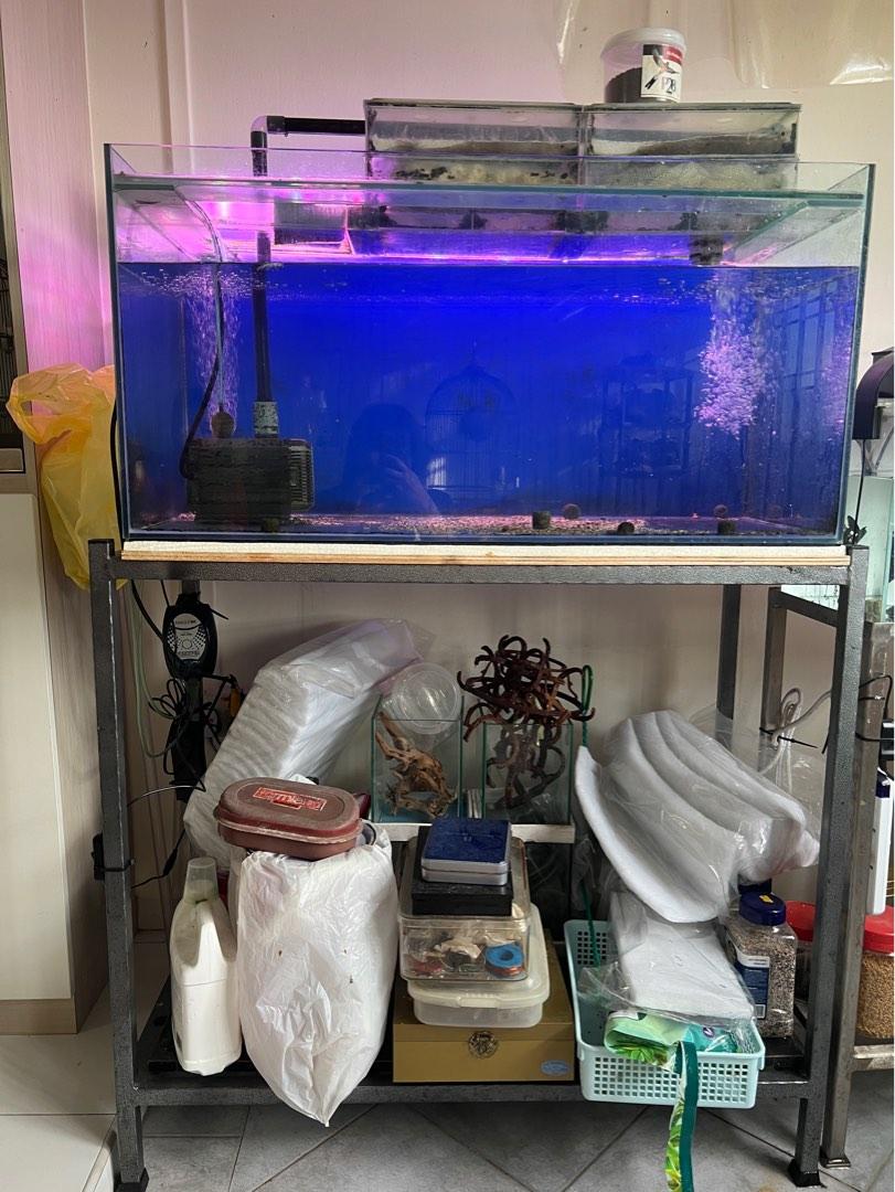 Fish Tank and Rack Set, Pet Supplies, Homes & Other Pet Accessories on ...