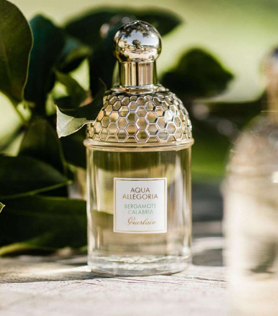 Guerlain bergamote calabria best sale perfume