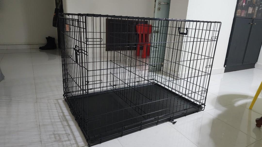 MidWest iCrate 42" Folding Metal Dog Crate w/ Divider, Pet Supplies