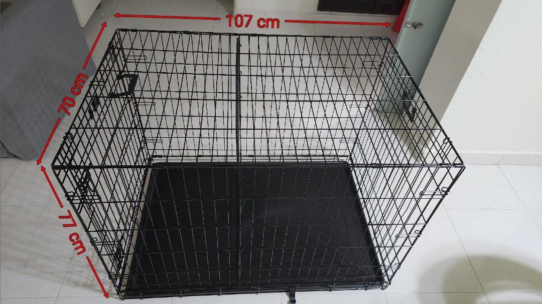 MidWest iCrate 42" Folding Metal Dog Crate w/ Divider, Pet Supplies