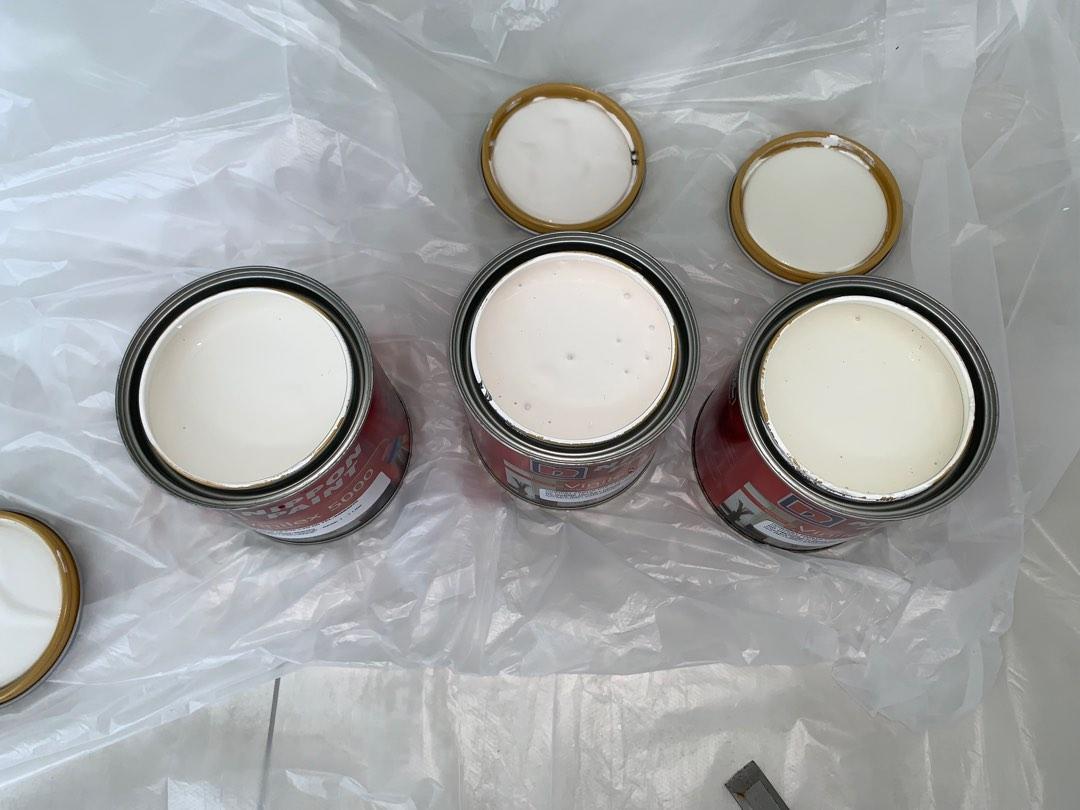 Nippon Paint Ash White, Light Gauze, Silent Hour, Cool Spring, Bonito