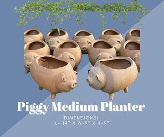 Piggy Medium Planter Clay Pot