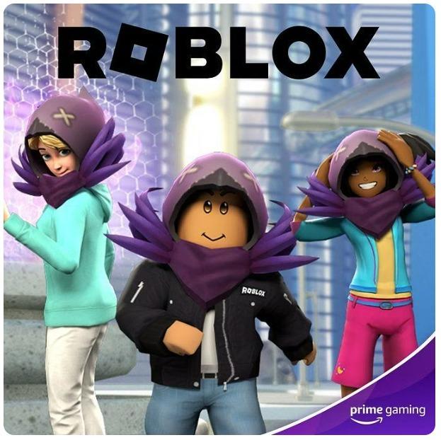 Roblox Raven Hunter Hood Code ( Prime Gaming), Video Gaming, Gaming  Accessories, In-Game Products on Carousell