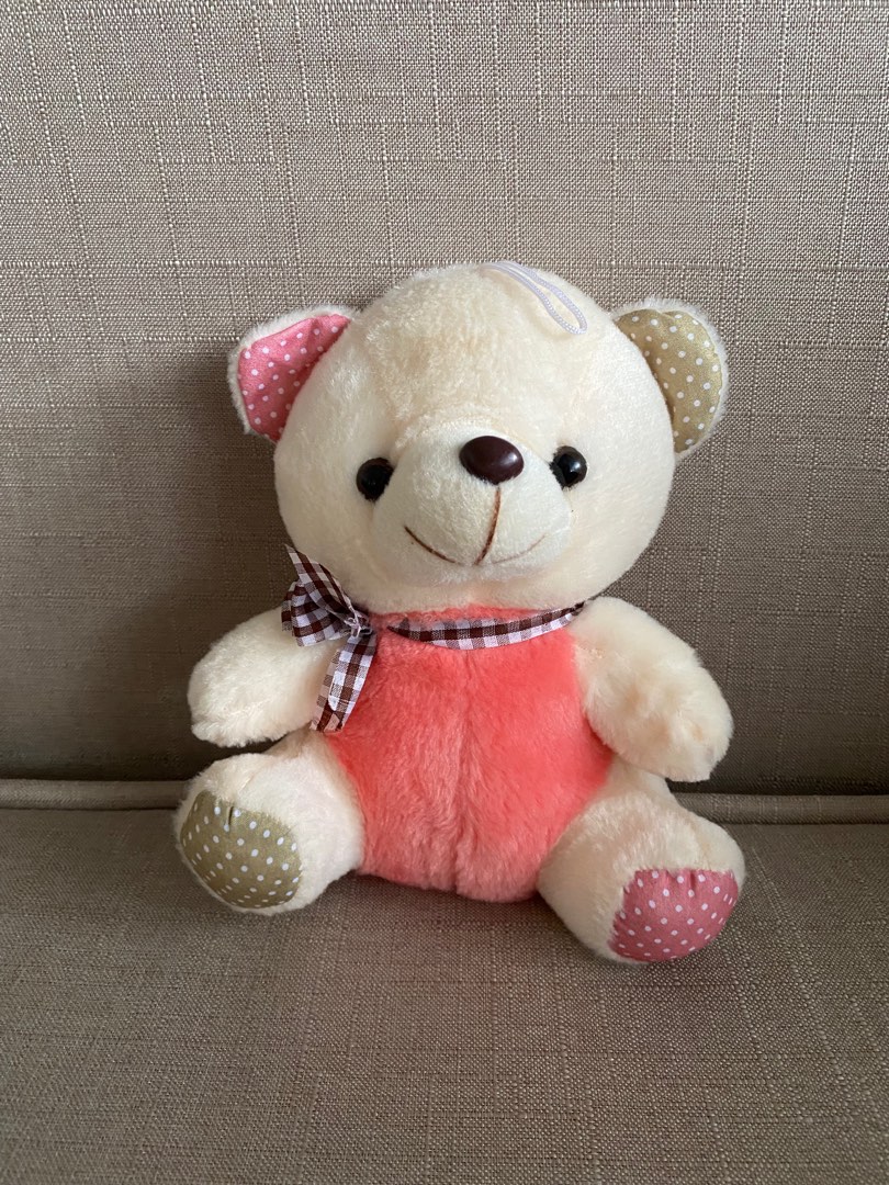 beautiful doll teddy bear