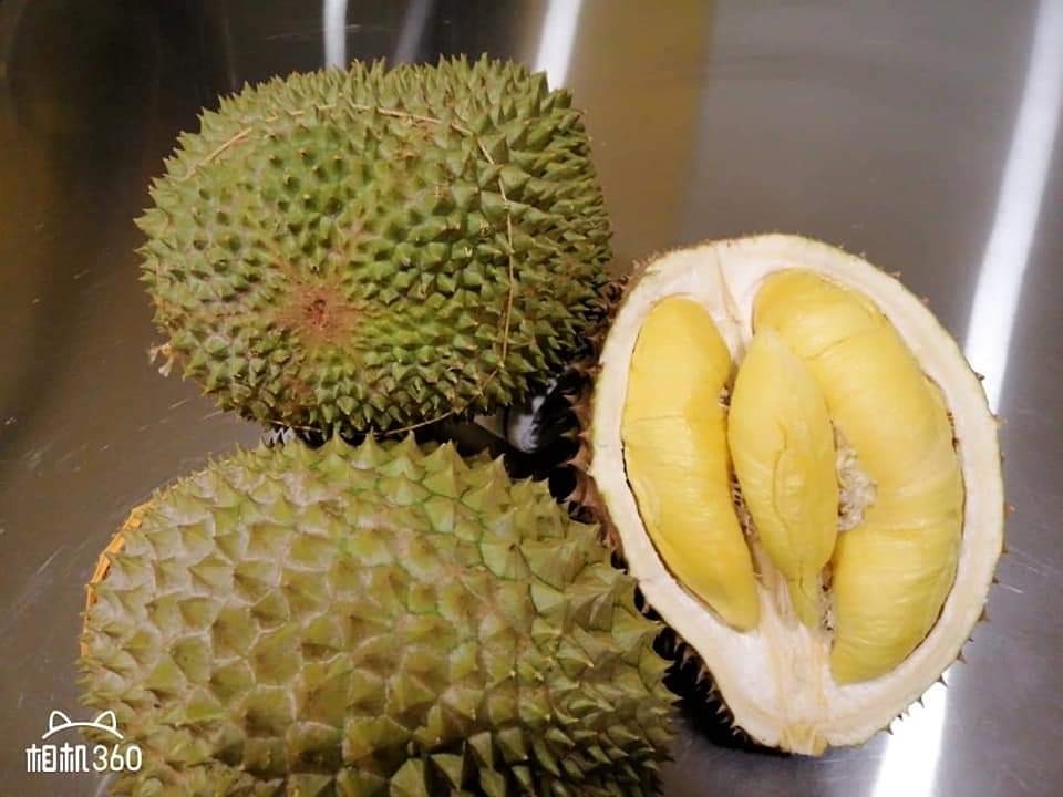 A級鮮果黑刺榴槤 貓山王榴槤馬來西亞直購 嘢食 嘢飲 新鮮食品on Carousell