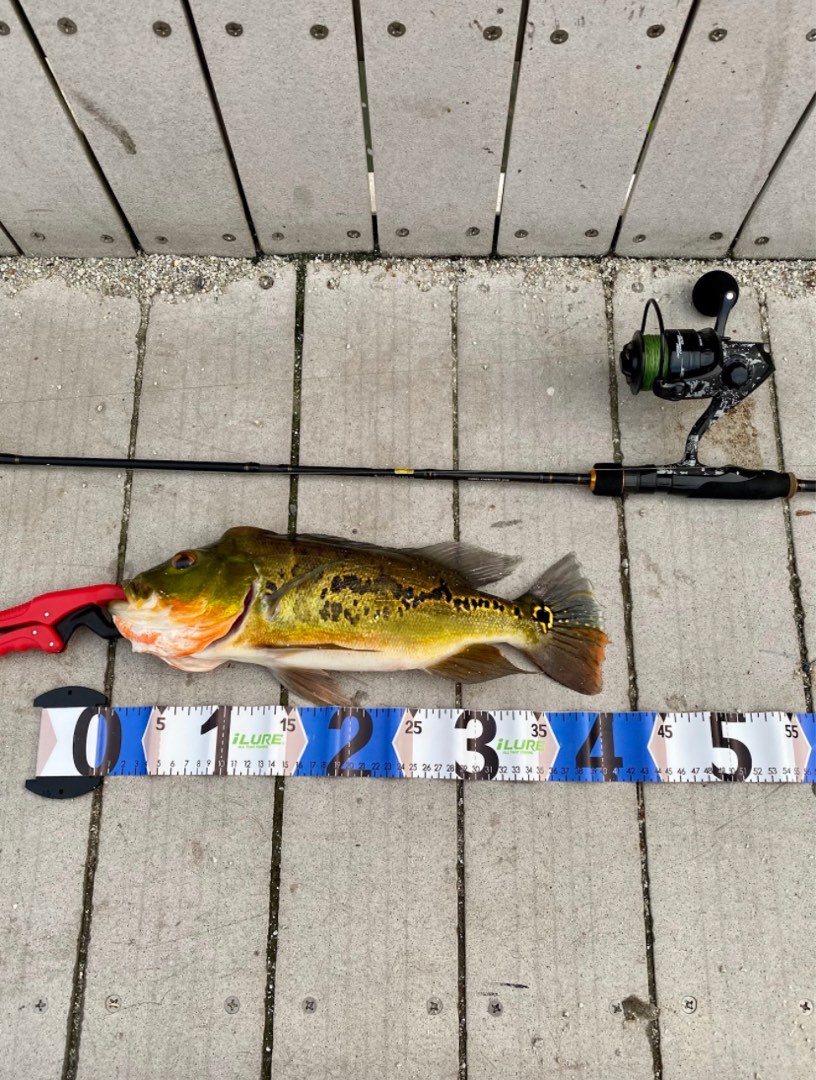 Abu Garcia Catfish Commando CC30 Left fishing reel, Sports Equipment