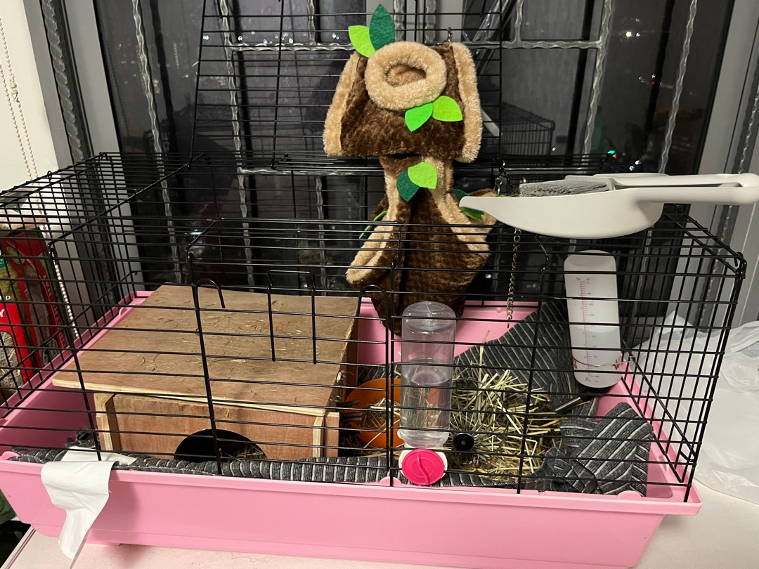 Carrier for Guinea pig 80*40cm, Pet Supplies, Homes & Other Pet