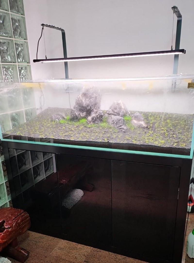 Crystal Clear Glass Custom Aquariums, Pet Supplies, Homes & Other Pet  Accessories On Carousell