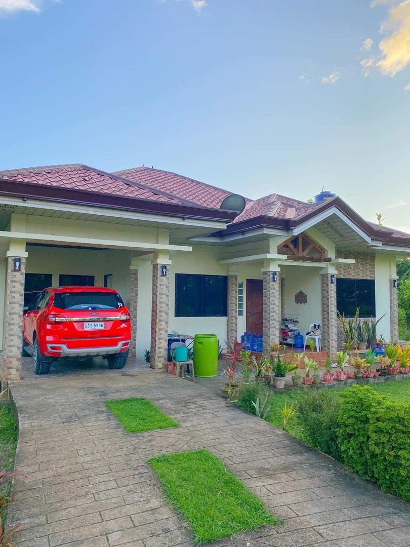 Dauis Bohol House and lot for sale, Property, For Sale, House & Lot on