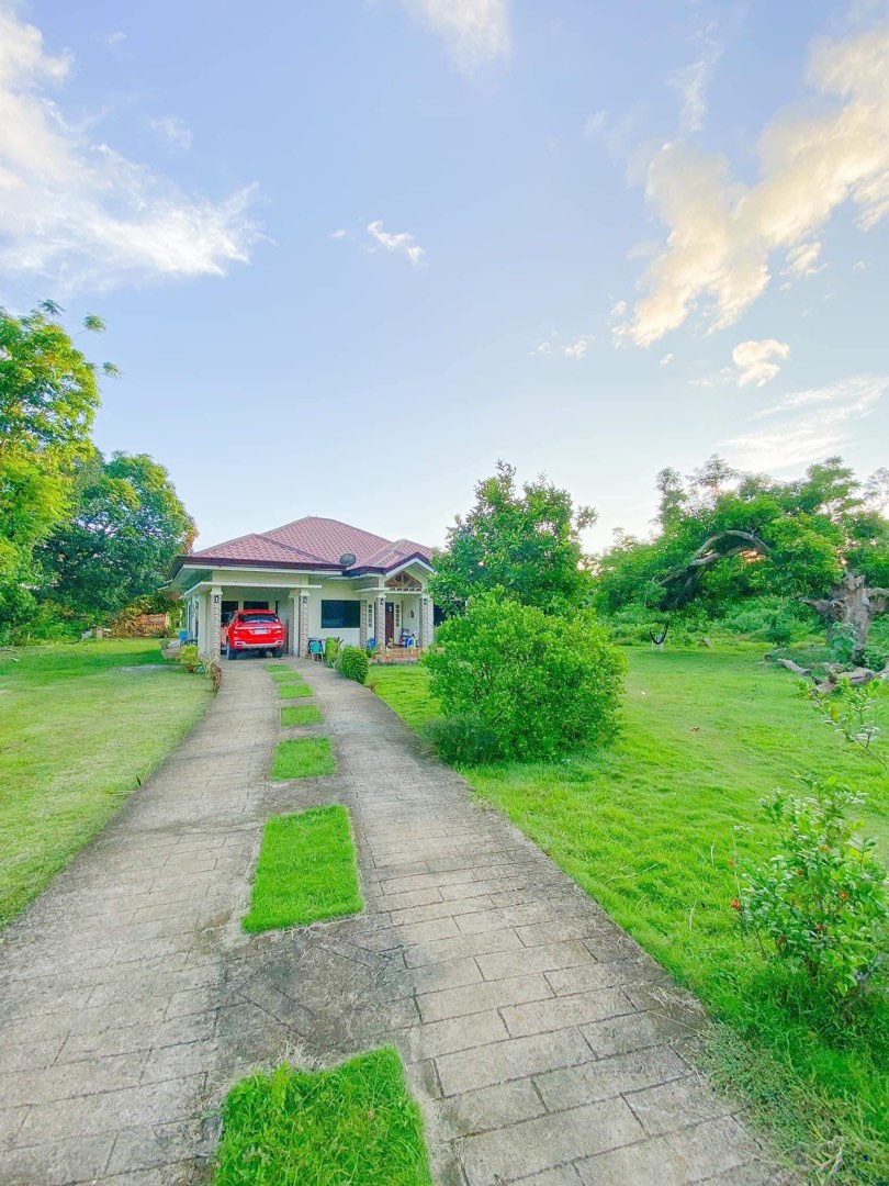 Dauis Bohol House and lot for sale, Property, For Sale, House & Lot on