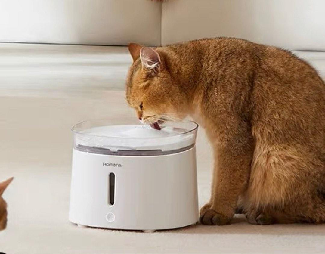 Homerun pet water fountain 3rd gen Pet Supplies Homes Other Pet Accessories on Carousell