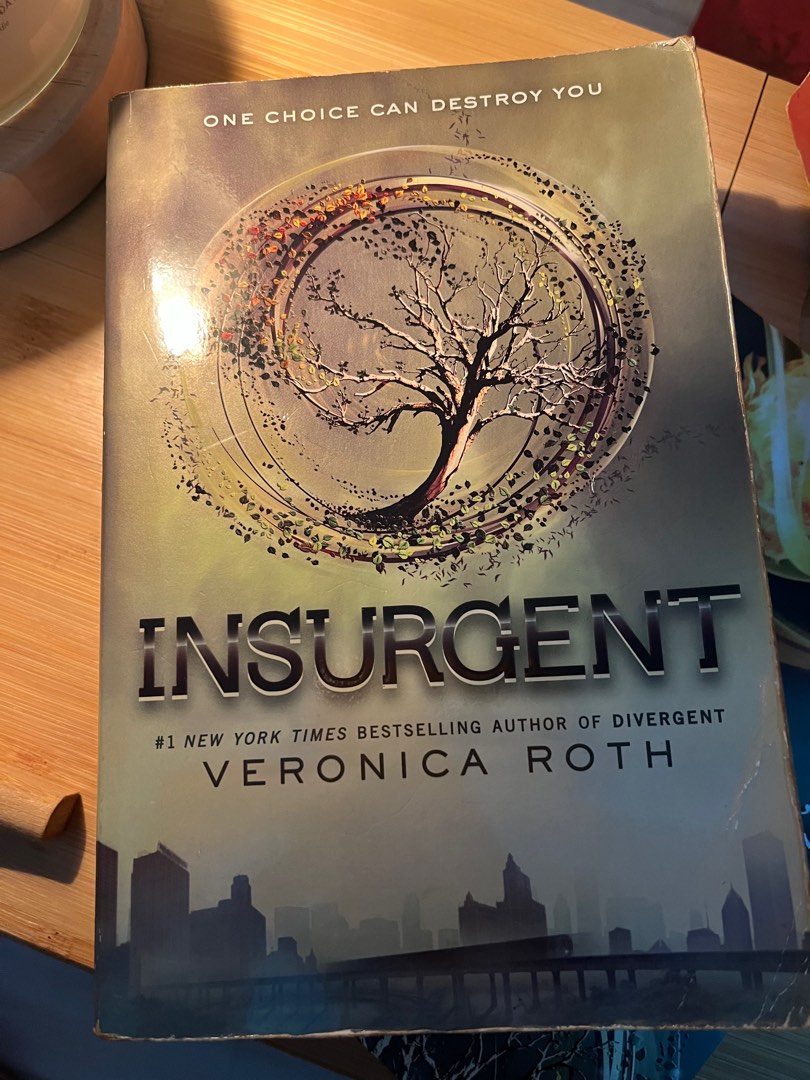 Insurgent, Hobbies & Toys, Books & Magazines, Fiction & NonFiction on