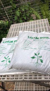 LOAM SOIL for Planters