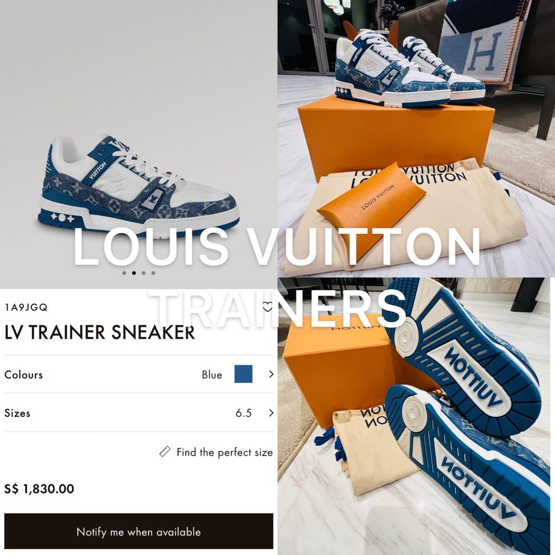 Louis Vuitton Hiking Boots, Men's Fashion, Footwear, Sneakers on Carousell